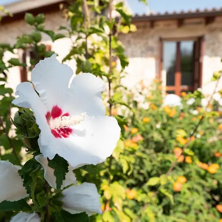 Vakantieboerderij Masseria Pallanzano