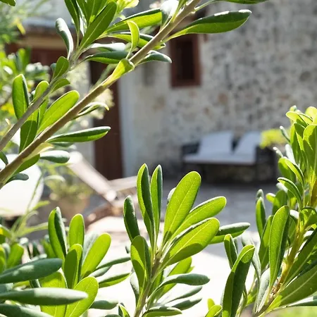 Masseria Pallanzano Vakantieboerderij